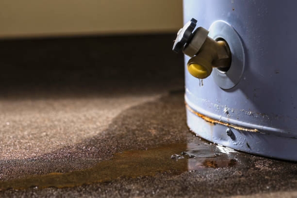Best 24/7 water damage repair  in Nolanville, TX