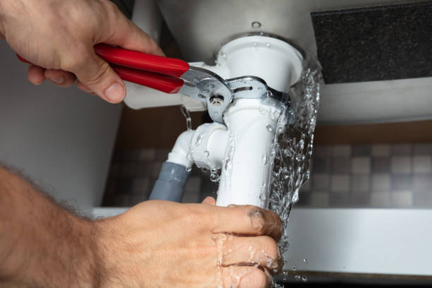 Best Mold removal after water damage  in Nolanville, TX