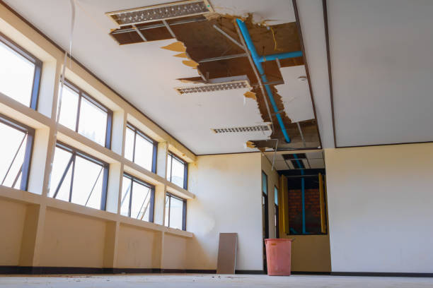 Best Ceiling water damage repair  in Nolanville, TX