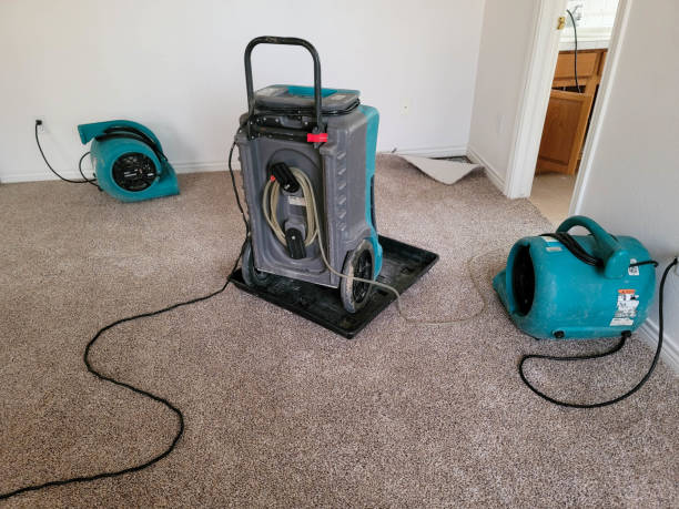 Best Flood restoration services  in Nolanville, TX