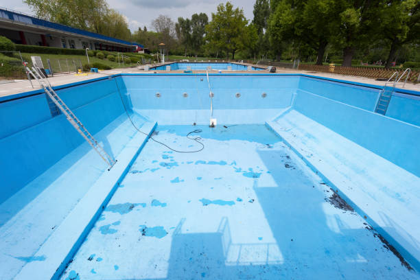 Best Professional water damage repair  in Nolanville, TX