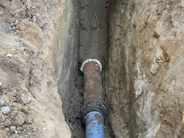 Best Flood damage cleanup  in Nolanville, TX