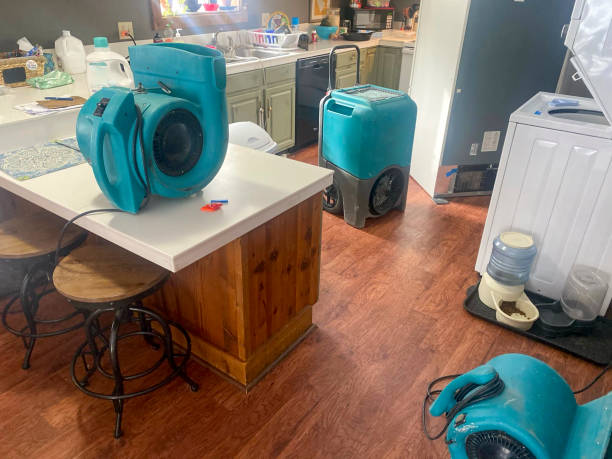 Best Water damage restoration near me  in Nolanville, TX