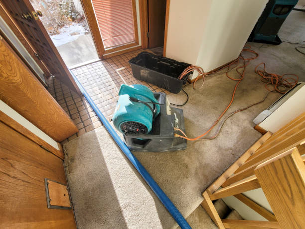 Best 24-hour water damage restoration  in Nolanville, TX