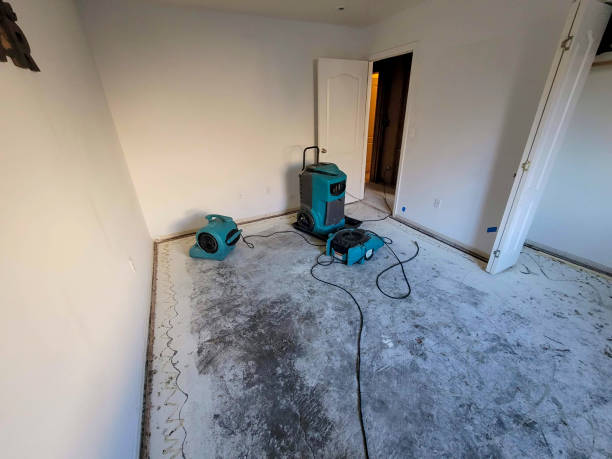 Best 24-hour water damage restoration  in Nolanville, TX