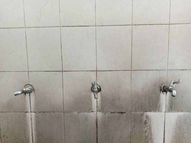 Best Water damage cleanup near me  in Nolanville, TX
