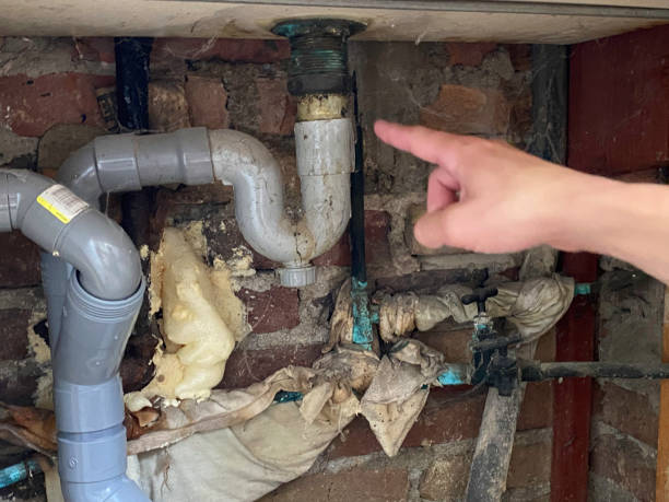 Best Fire Damage Restoration  in Nolanville, TX
