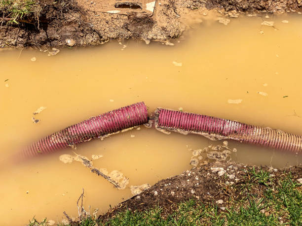 Best Flood damage cleanup  in Nolanville, TX