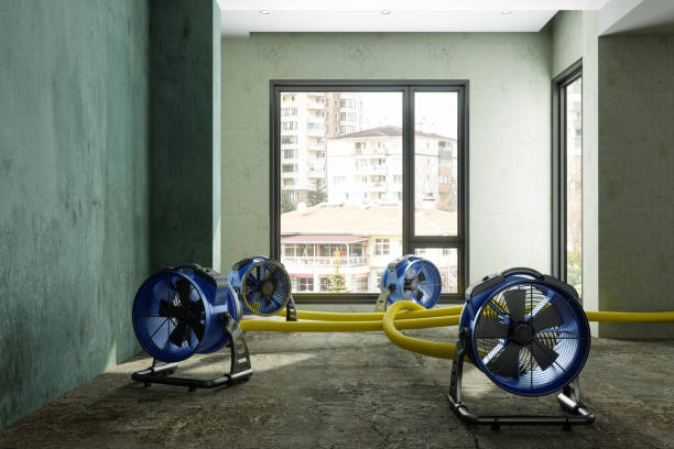 Best Sewage cleanup and water damage restoration  in Nolanville, TX